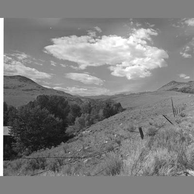 Fenceline Near Hell's Canyon, Madison County, 1950