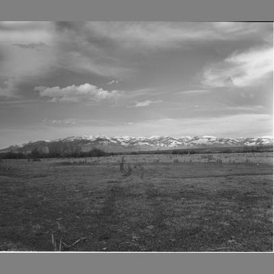 Old Stage Coach Road on Brook Homestead, 1952