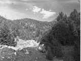 Goodrich Gulch, 1952