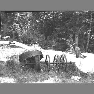 An Old Mill Wheel Found in Goodrich Gulch, 1952