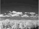 Looking East from Bighole Bridge, 1952