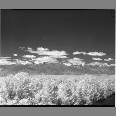 Looking East from Big hole Bridge, 1952