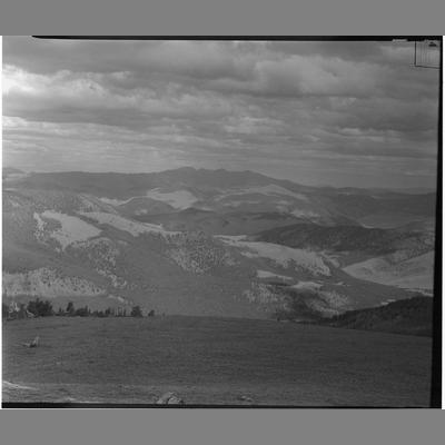 From Clive Park, Canyon Creek, 1952