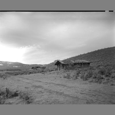 Abandoned Cabin at Moose Town on Moose Creek, Beaverhead County, 1952