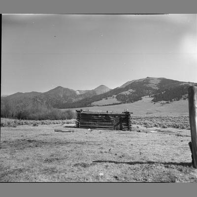 An Abandoned Old Cabin on Camp Creek, 1952
