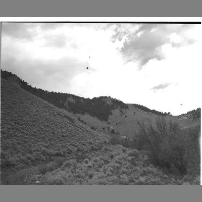 Wet Georgia Gulch Overflow, May 1953