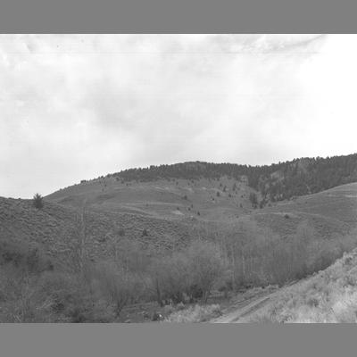 Trail Leading to Wet Georgia, May 1953