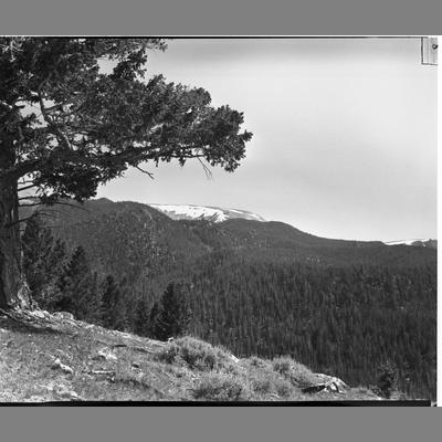 View of Table Mountain from Upper Park on the Bar, Beaverhead County, 1953