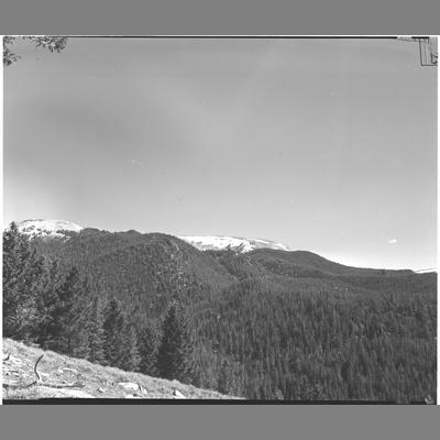 Table Mountain from Upper Park on the Bar with Trees Hell's Canyon, 1953