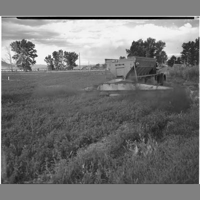 Oliver Smith spreading phosphate with a fertilizer machine, 1953.