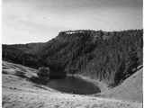 Axolotl Lake, Madison County, 1953