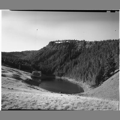 Axolotl Lake, Madison County, 1953