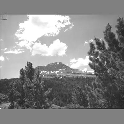 View Looking through Pine Trees at Black Butte, Upper Ruby, Madison County, 1953
