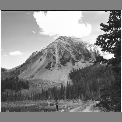 Upper Wisconsin Creek trail, Madison County, 1953