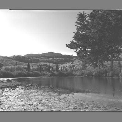 Lake above Virginia City with Tree, Madison County, 1953