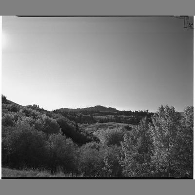 Lake above Virginia City looking South, 1953