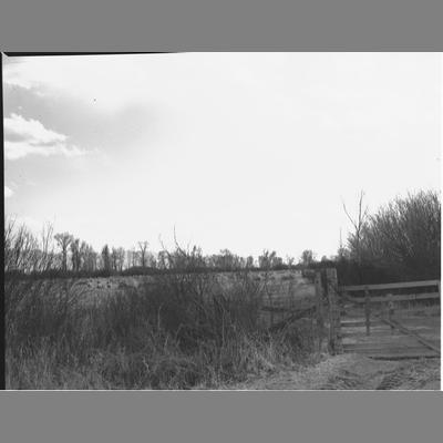 A herd of sheep at Reid Ranch
