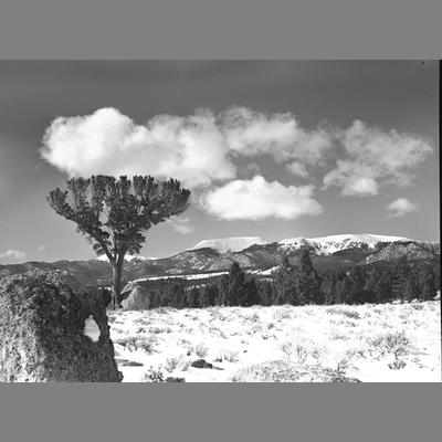 A meadow covered with snow, looking toward Hell's Creek Canyon, 1954