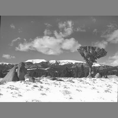 View From A High Plains Bench of Hell's Creek Canyon taken at Second Creek, 1954