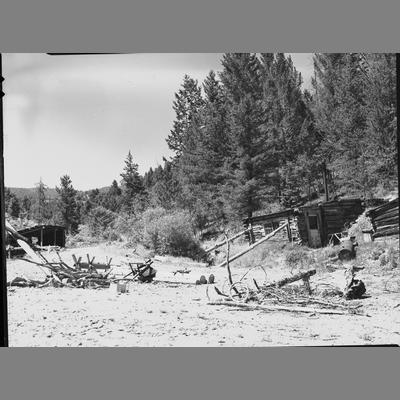 An abandoned log cabin and small shed near Bevin's Gulch, Madison County, 1954
