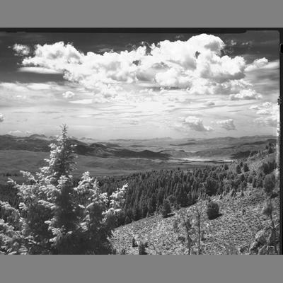 Head of Biven Gulch looking south with mountains in the background 1954