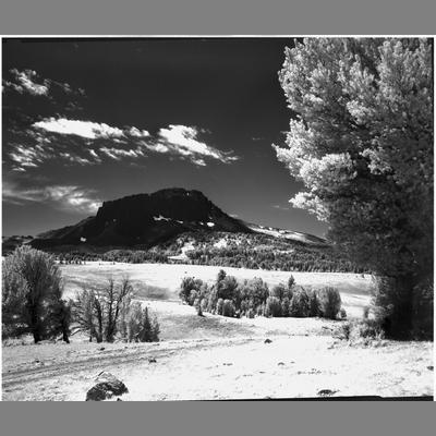 View Looking Across a Meadow of Black Butte, Madison County, 1954