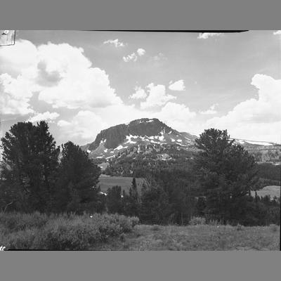 View Looking Between Trees to a Black Rock Butte