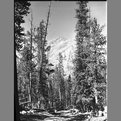Birch Creek Road, Beaverhead County, 1954