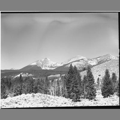 Snow-covered meadow with scattered pine trees, 1954.