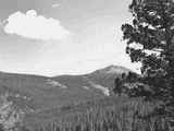 A Distant Mountain Peak, Silver Bow County 1954