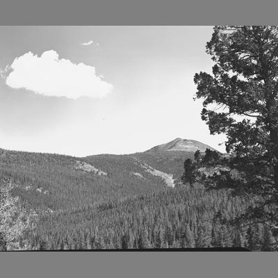 A Distant Mountain Peak, Silver Bow County 1954