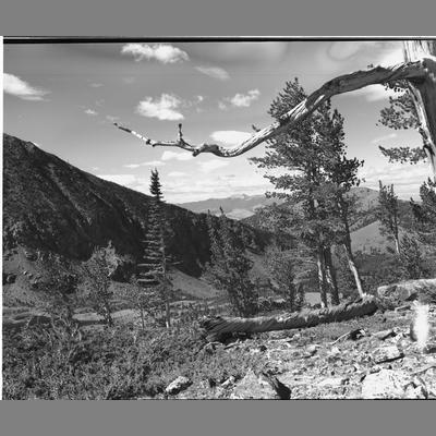 Looking West from Head of Dry Boulder, Madison County, 1954