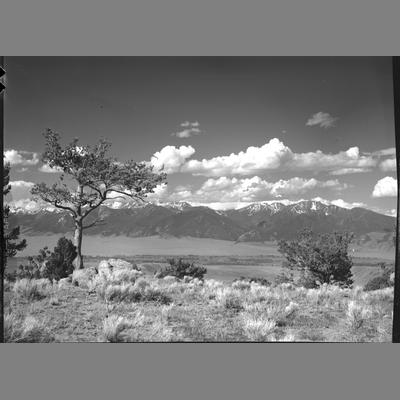 Looking toward the Tobacco Mountains from the head of Little Fish Creek, Madison County, 1955