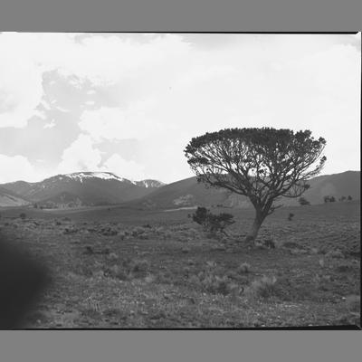 Looking toward Table Mtn from Cherry Creek 1955