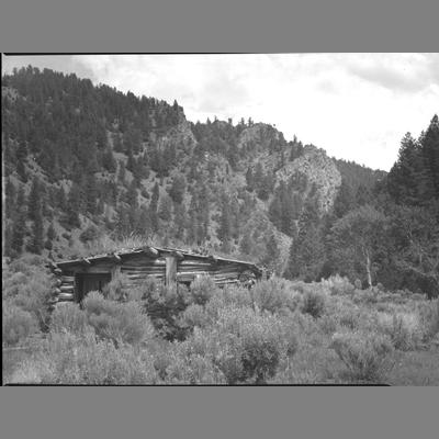 An Old Cabin up Barton Gulch, Madison County, 1956