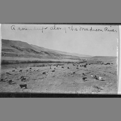 Hutchins Ranch Roundup Along Madison River