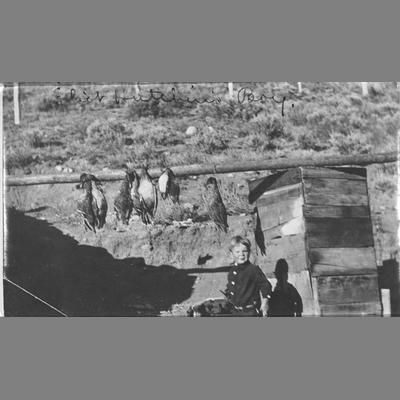 A Small Boy at the Hutchins Ranch on the Madison River