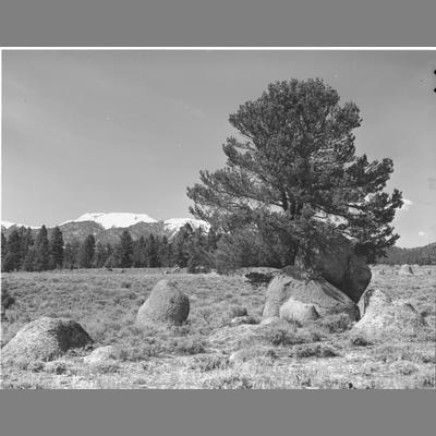 Tobacco Root Range from Hell's Canyon 1956