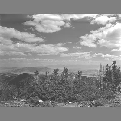 View looking over scrubby shrubs from the top of Tower Mountain, Beaverhead County, Montana, 1956.