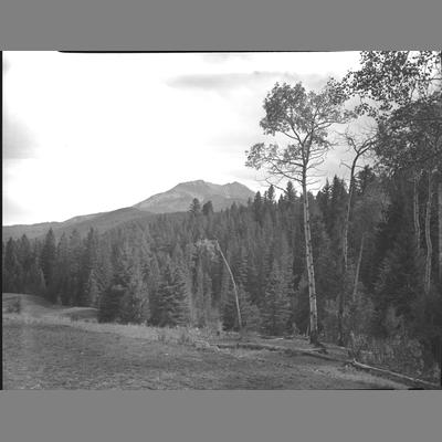 Looking South from Hammond Ranger Station, Jack Creek on the Madison River, 1956