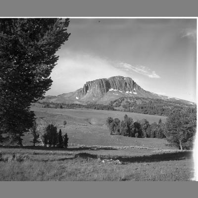Photo of Black Butte 1977