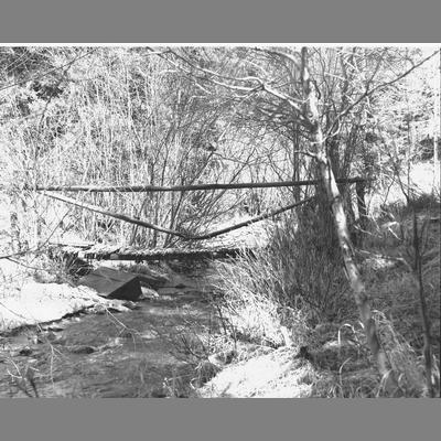 A log foot bridge at Three Stamp Mill, Madison County, 1958.