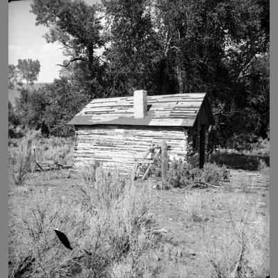 The Backside of a Log Cabin at The Old Brazell Ranch, 1954
