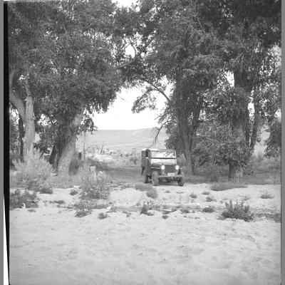 A Jeep Parked Under Large Cottonwood Trees, Brazell Ranch