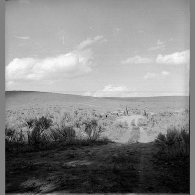 A Dirt Road at the Old Brazell Ranch