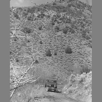 The Road to the Wisconsin Creek Placer Mine, 1955