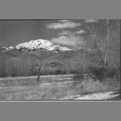 Trees and mountains at the Wisconsin Creek placer mine, 1955.