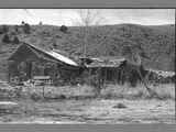 An abandoned house at the Mouth of the Wisconsin Creek Placer Mine, 1955