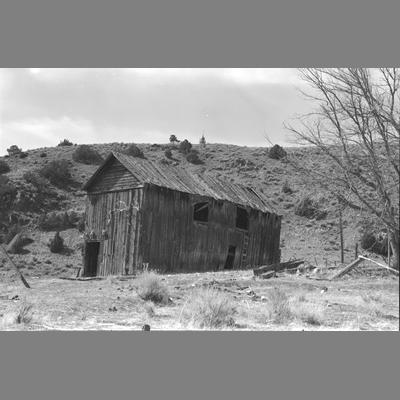 An abandoned barn near the Wisconsin Creek Placer Mine, 1955