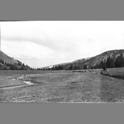 A Creek and a Trail Leading to The Notch 1956